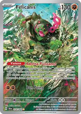 Pokémon card Okidogi 074/064 Shrouded Fable