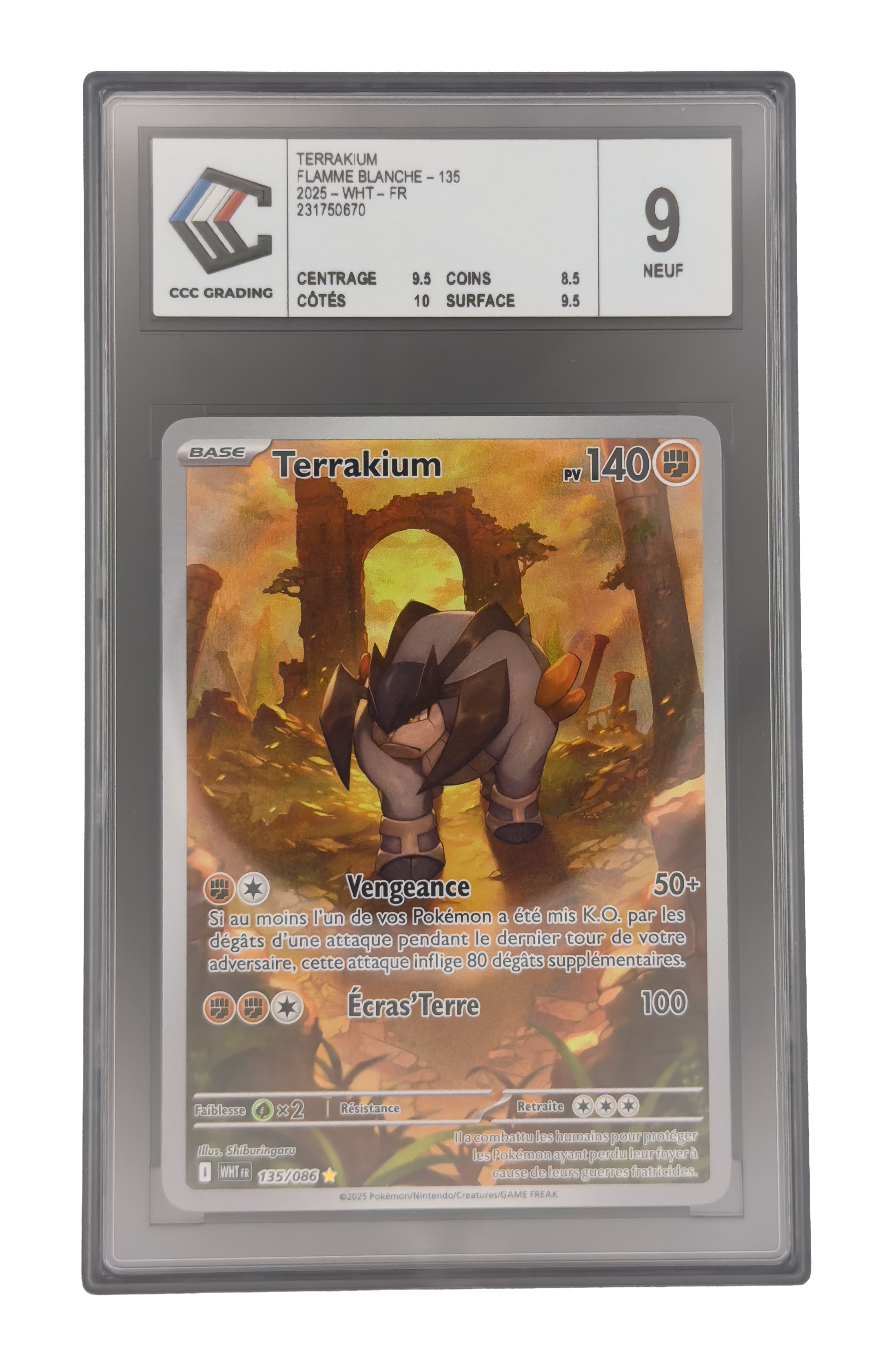 Terrakium IR, carte Pokemon française gradée 9 scellée en slab