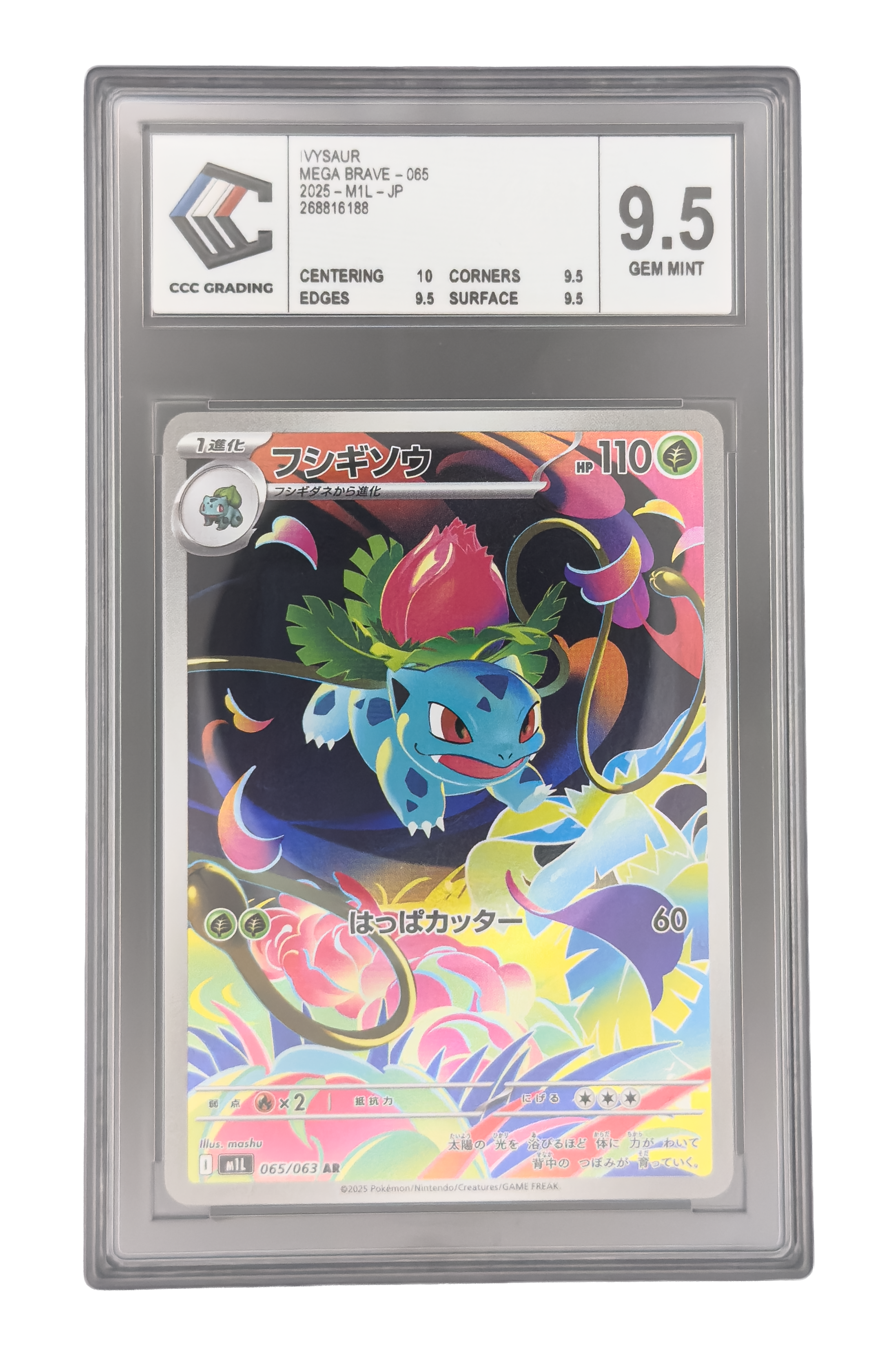 Herbizarre AR, carte Pokemon japonaise gradée 9,5 scellée en slab