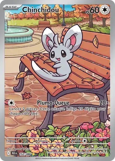 Minccino · Black Bolt · BLK 152/086 · NM